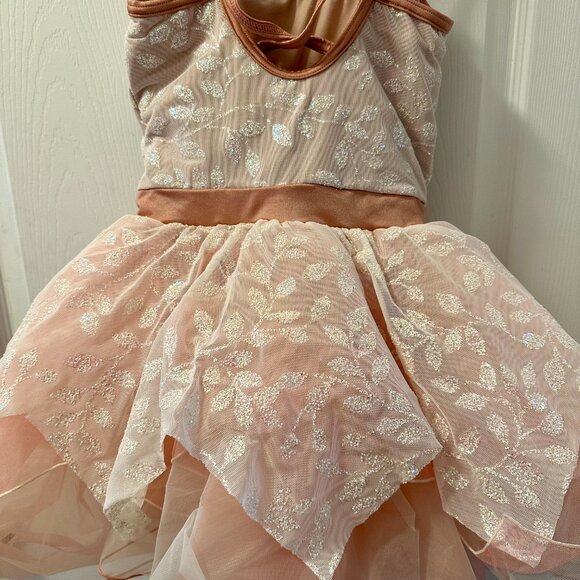 Rose Petal Pink Tutu Ballet Dress - Picture 4 of 6